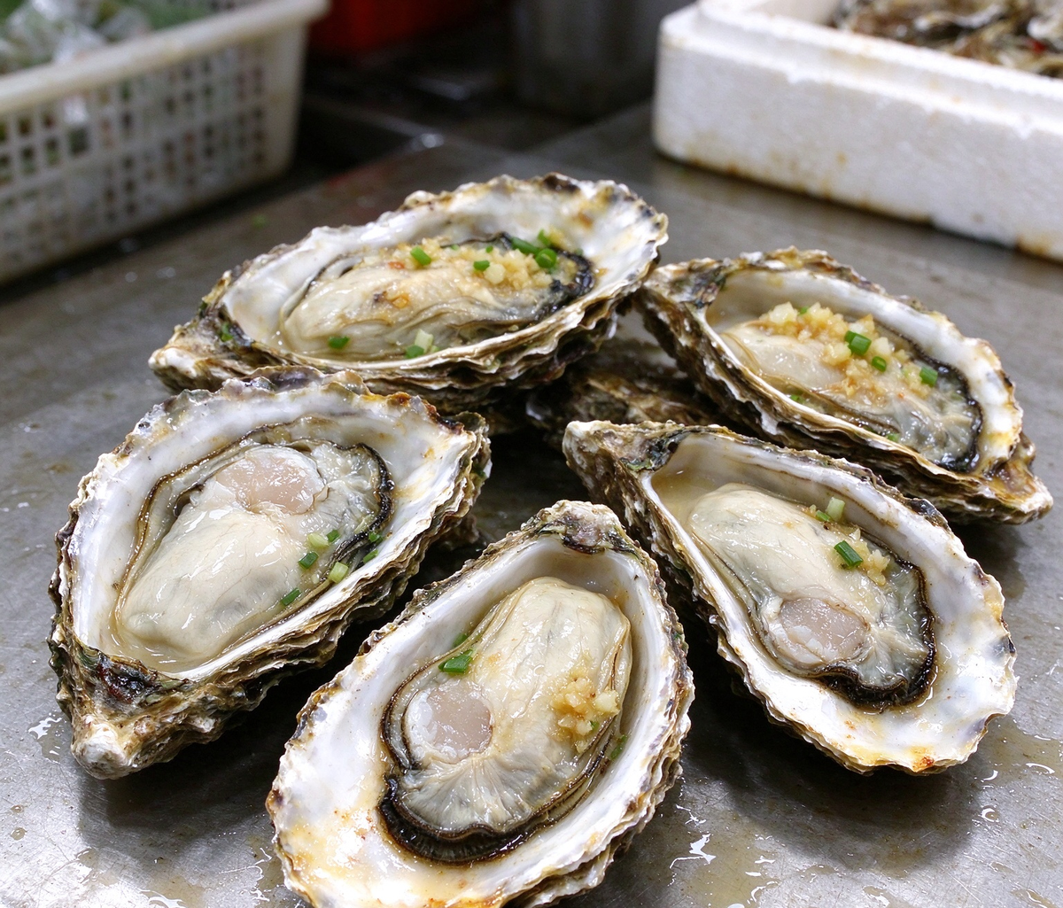 Fresh Oysters in Shell